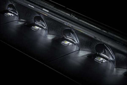 Siberia Outlaw 32" - SVJETLOST KOJA NE POZNAJE GRANICE