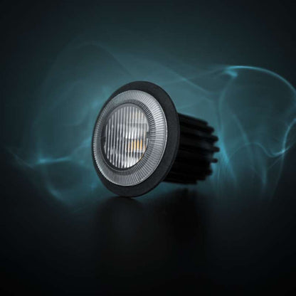 DARK KNIGHT GLORIA WARNING LIGHT